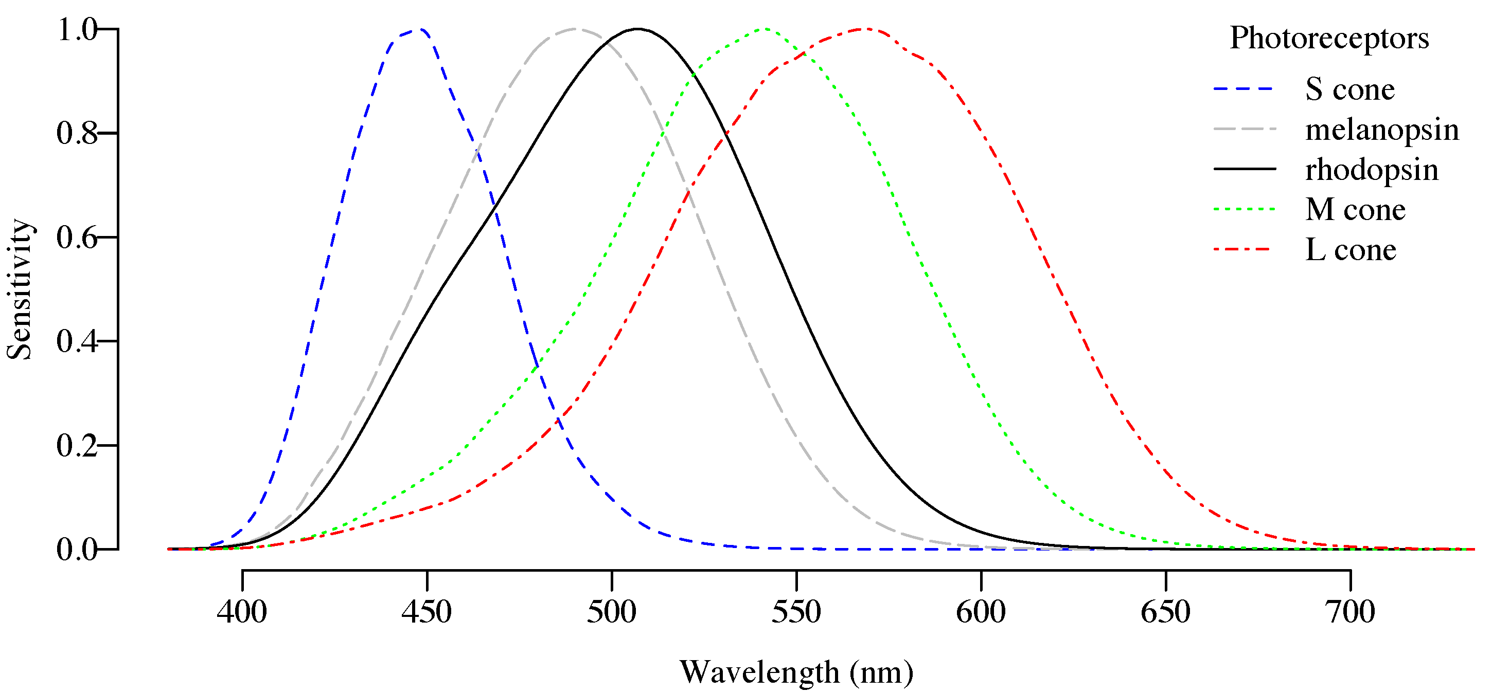 MMelanopsin spectral sensitivity vs photopic/mesopic curves.
