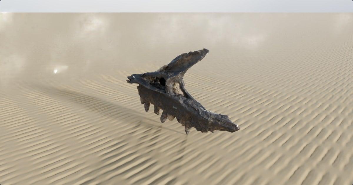 An allosaurus jaw fossil on rippled sand
