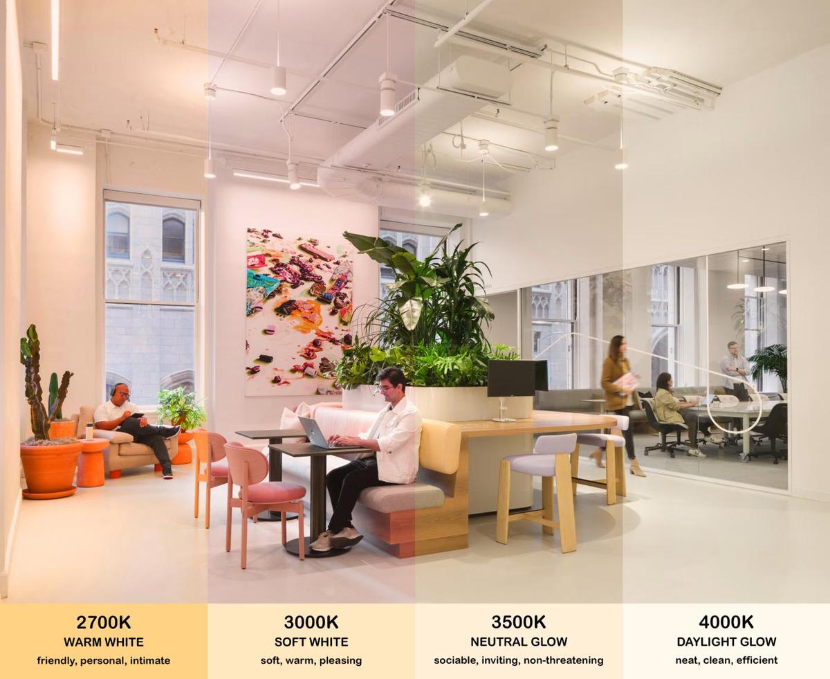 Offices Ditch Harsh Fluorescent Lights. New Tech Is On the Way.