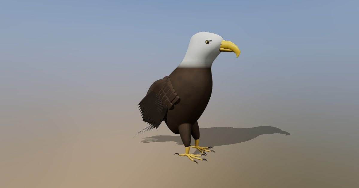 Bald eagle perched