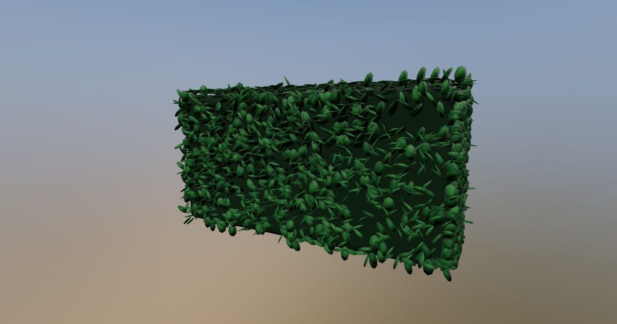 Boxwood hedge two metre section