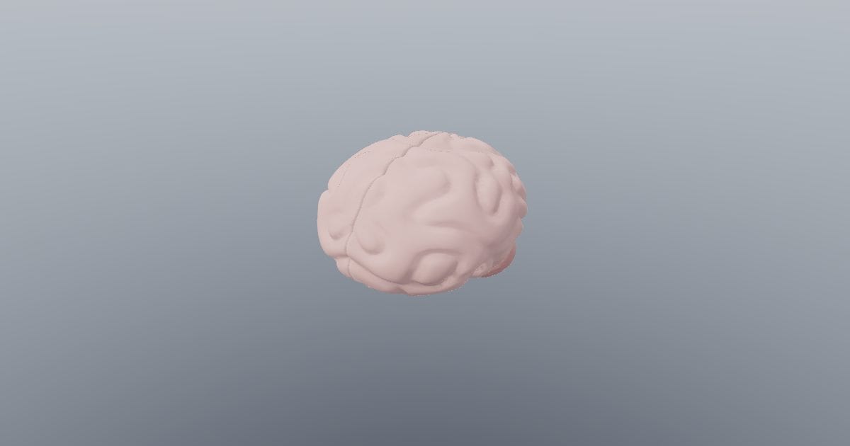 Brain