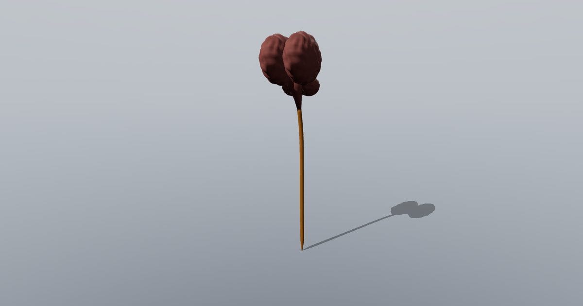 Brain with spinal cord