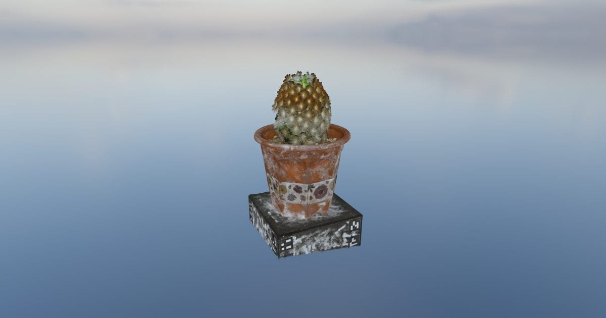 Cactus (.spz)