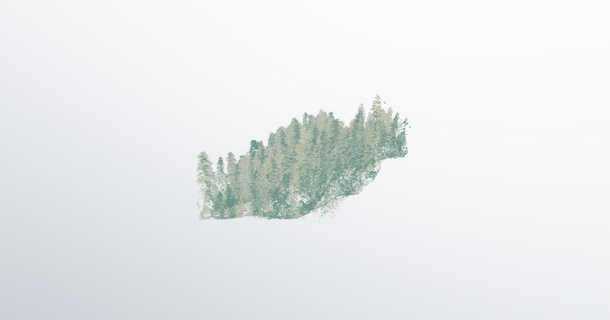 Coast redwood forest stand, aerial LiDAR (LAZ)