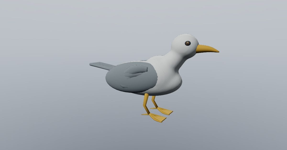 Coastal gull