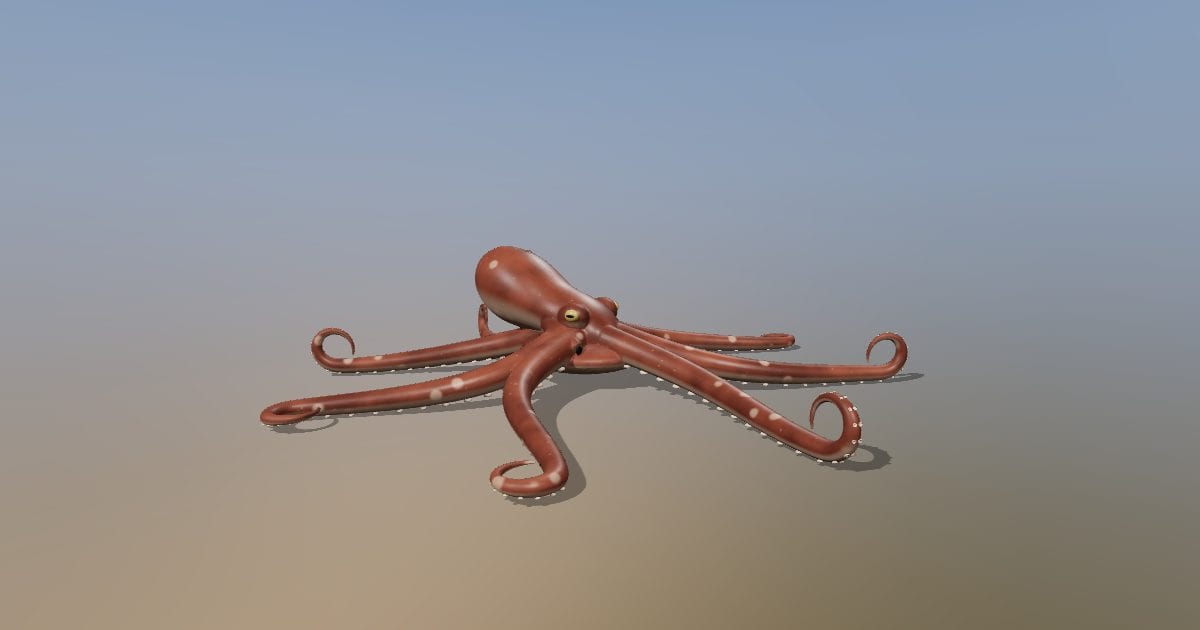 Common octopus