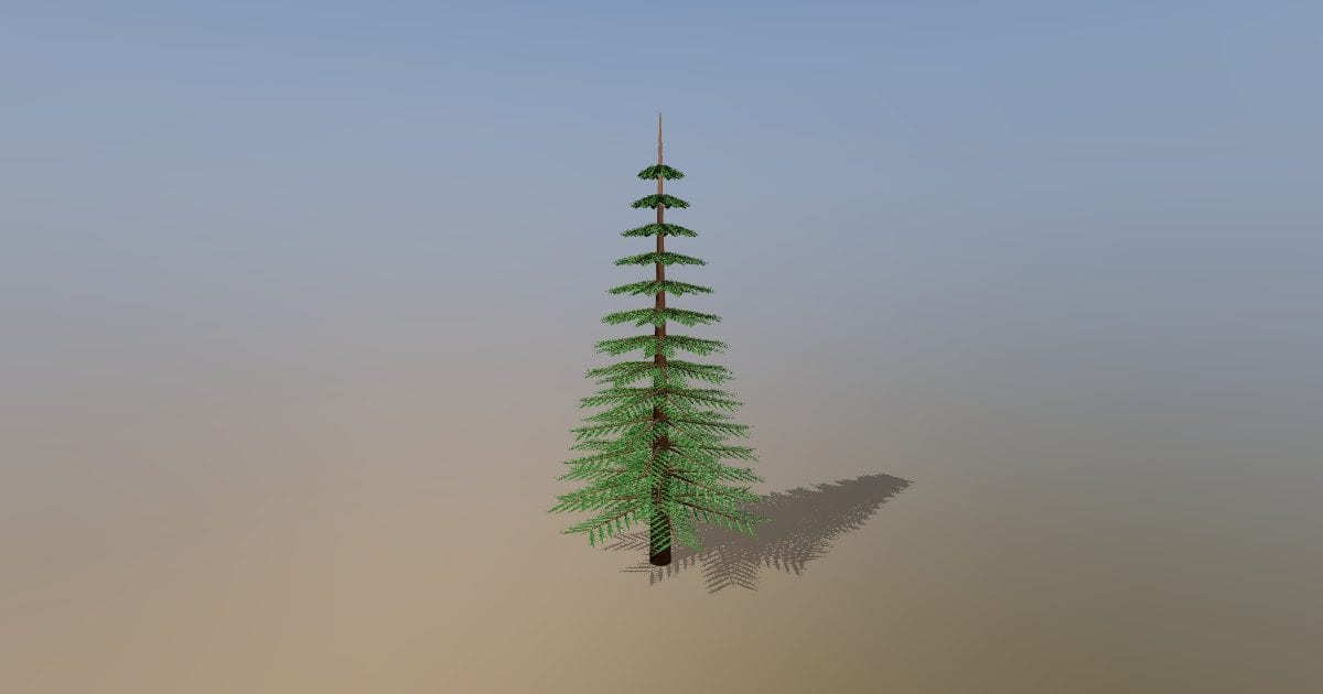 Conifer, detailed needles