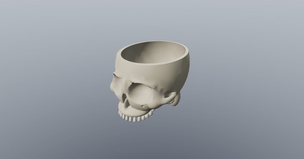 Cranium cutaway