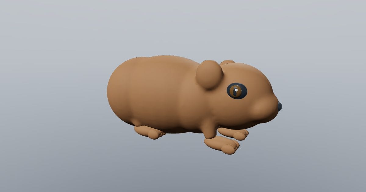 Domestic guinea pig