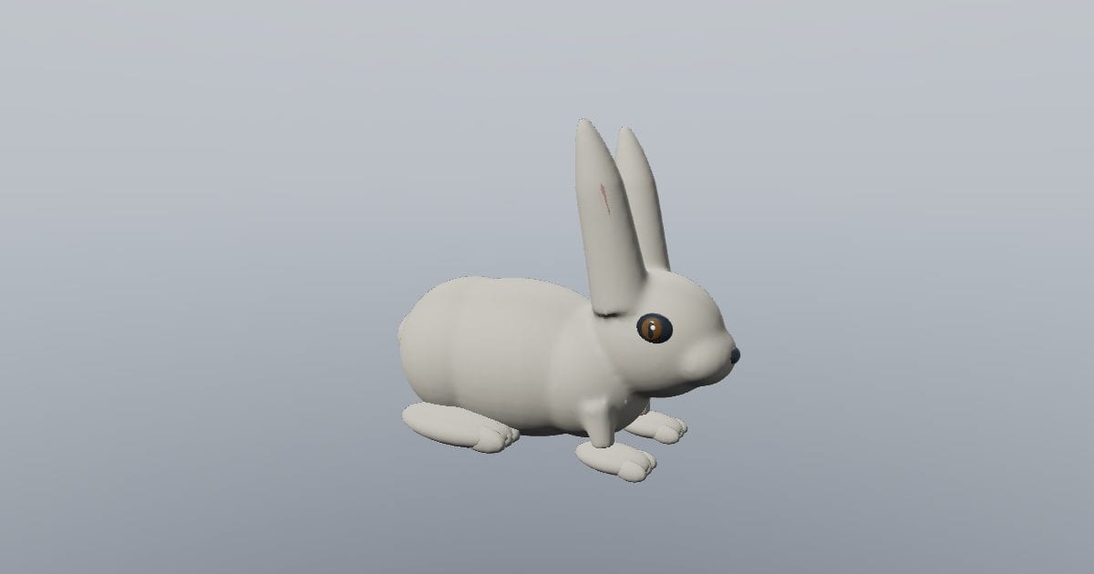 Domestic rabbit