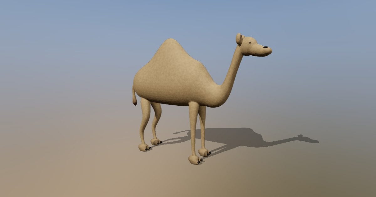 Dromedary camel