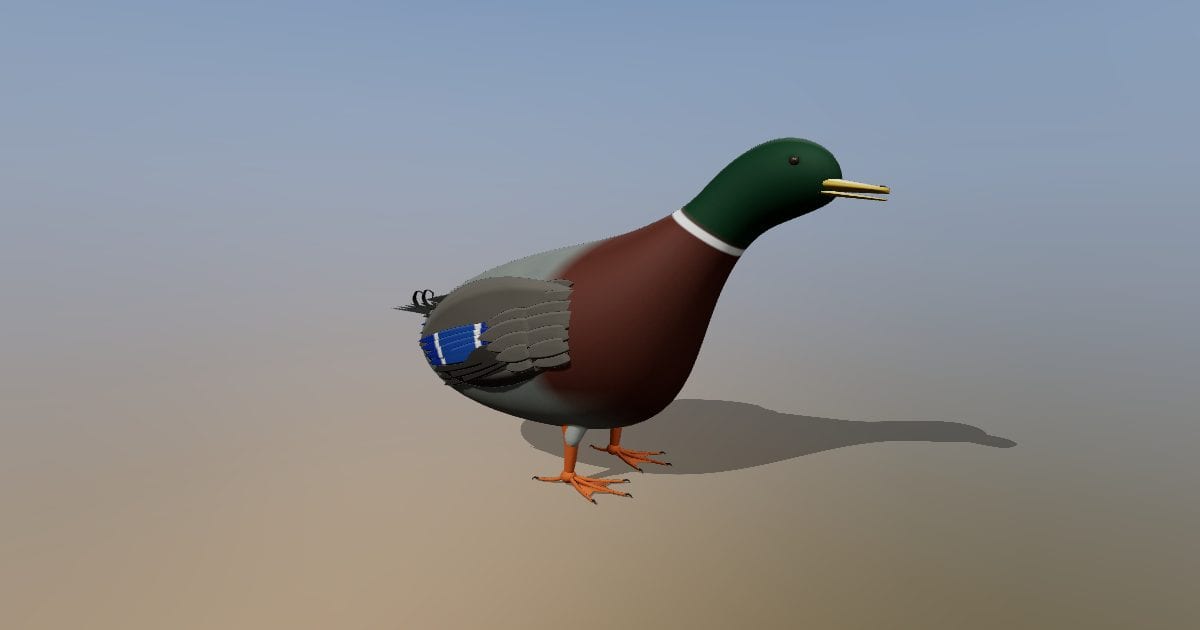 Duck mallard