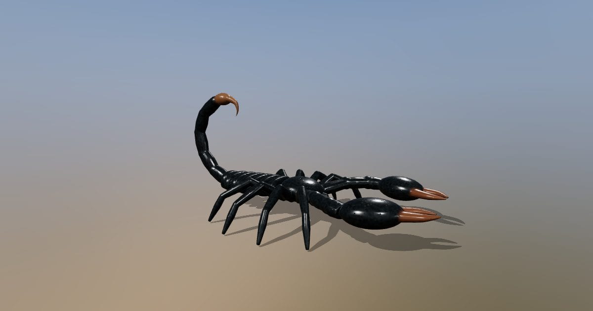 Emperor scorpion