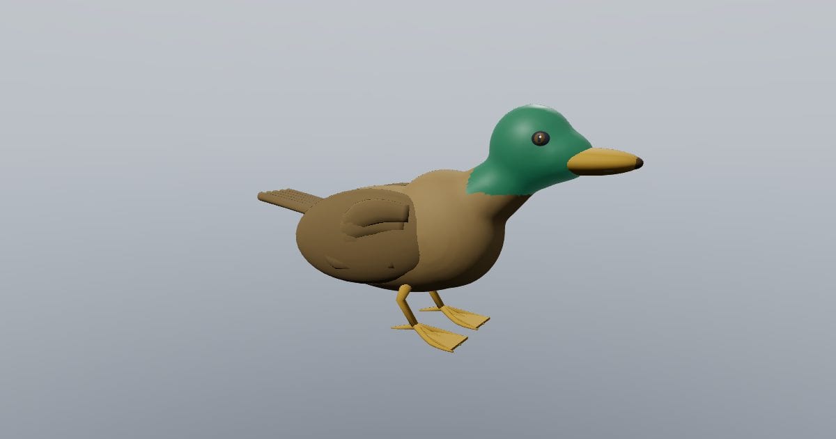Farm duck