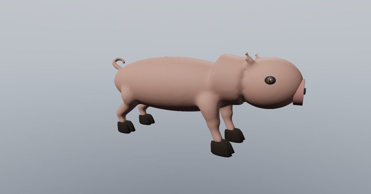Farm pig