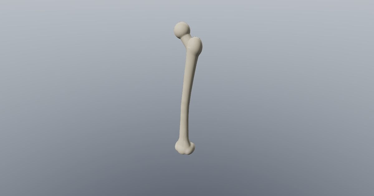 Femur