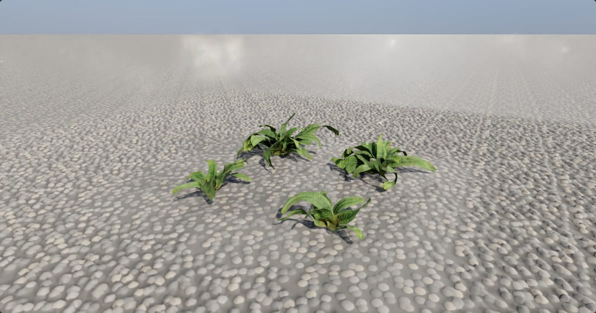 Fern clumps