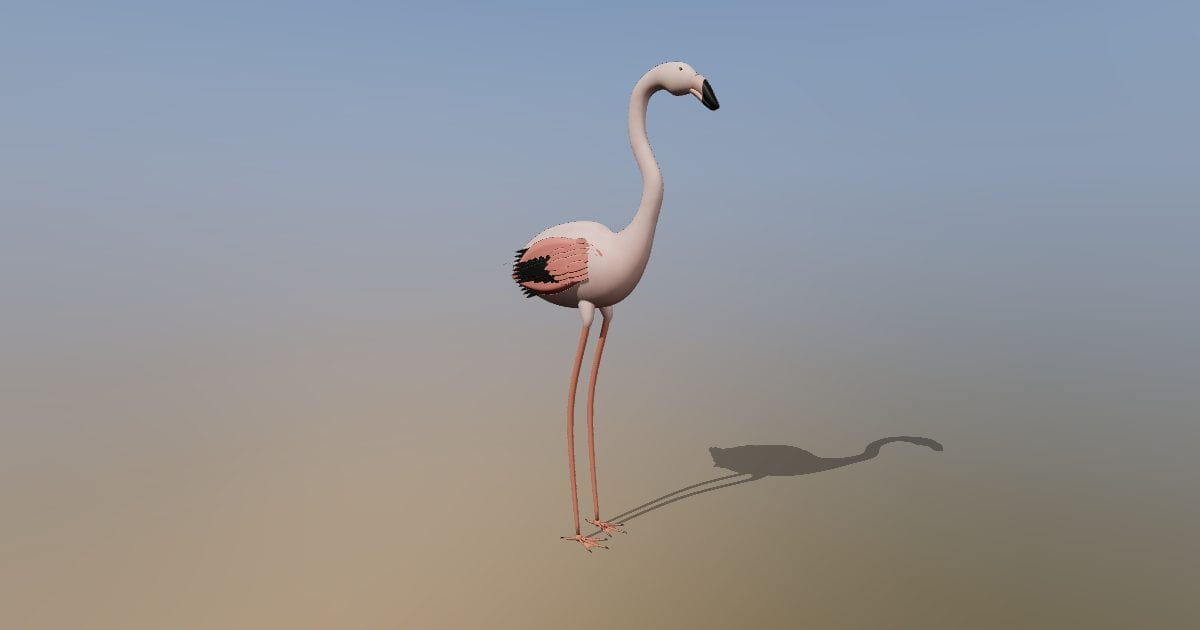 Flamingo