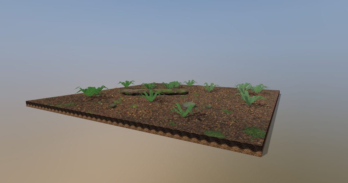 Forest floor patch