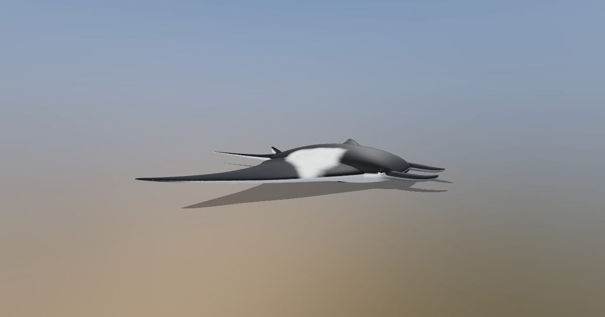 Giant manta ray