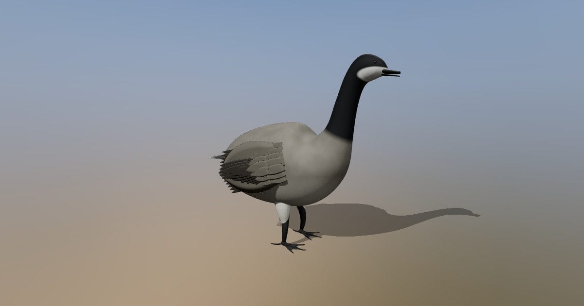 Goose