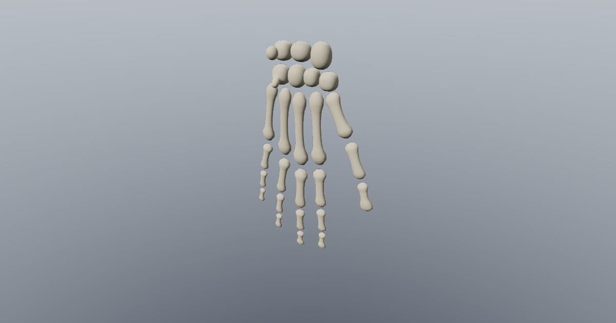 Hand bones