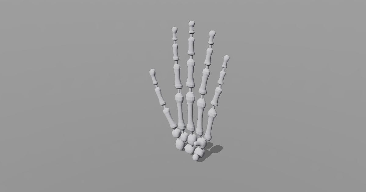 Hand with joints study model