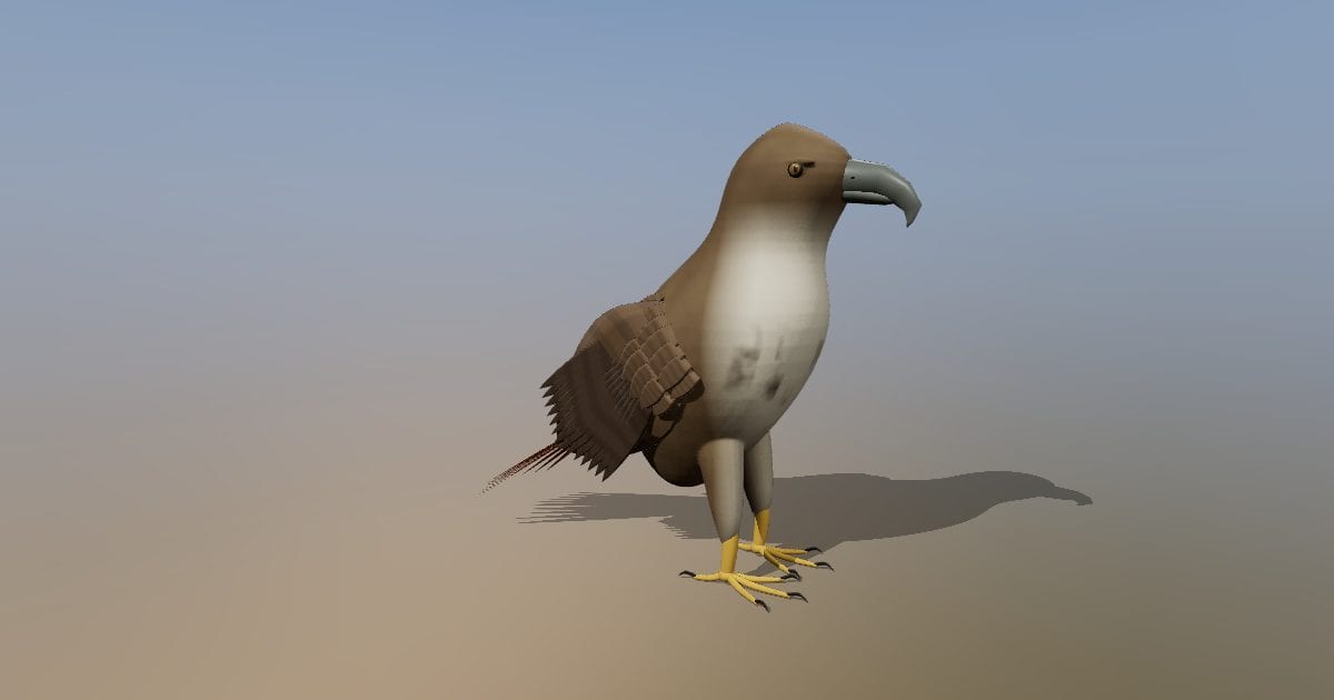 Hawk standing with flight pose