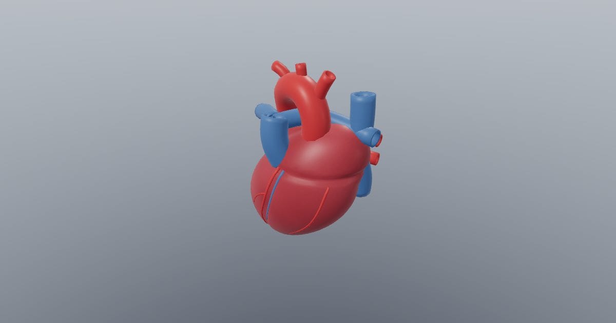 Heart