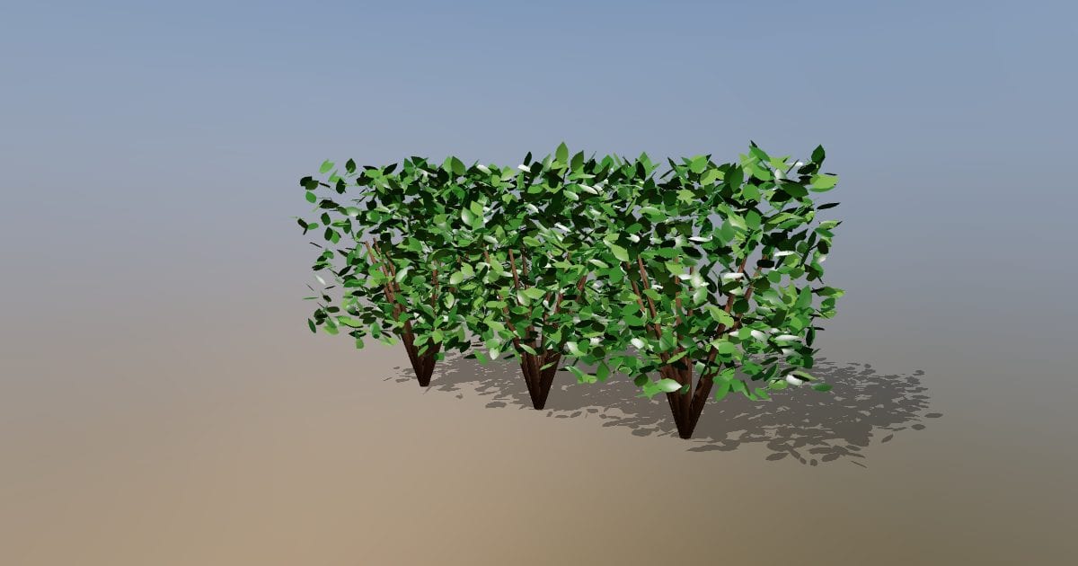 Hedge section