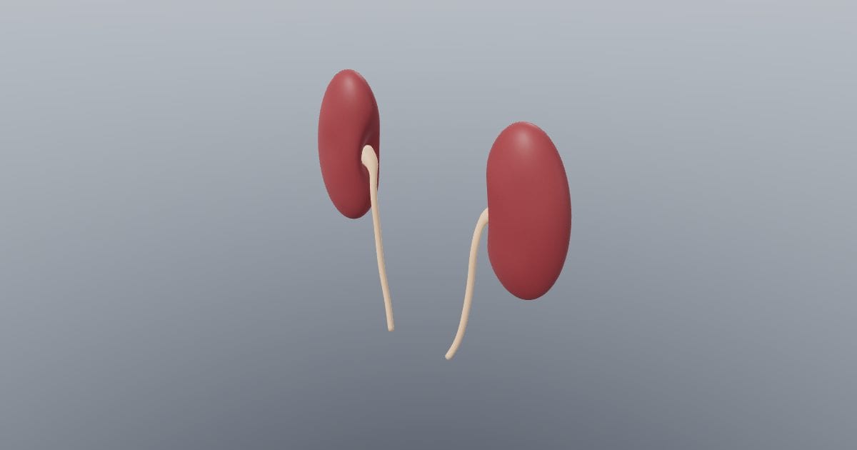 Kidneys, pair