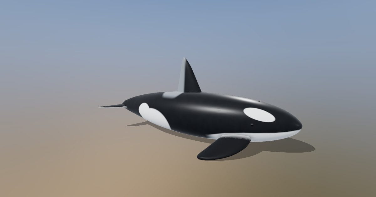 Killer whale (orca)