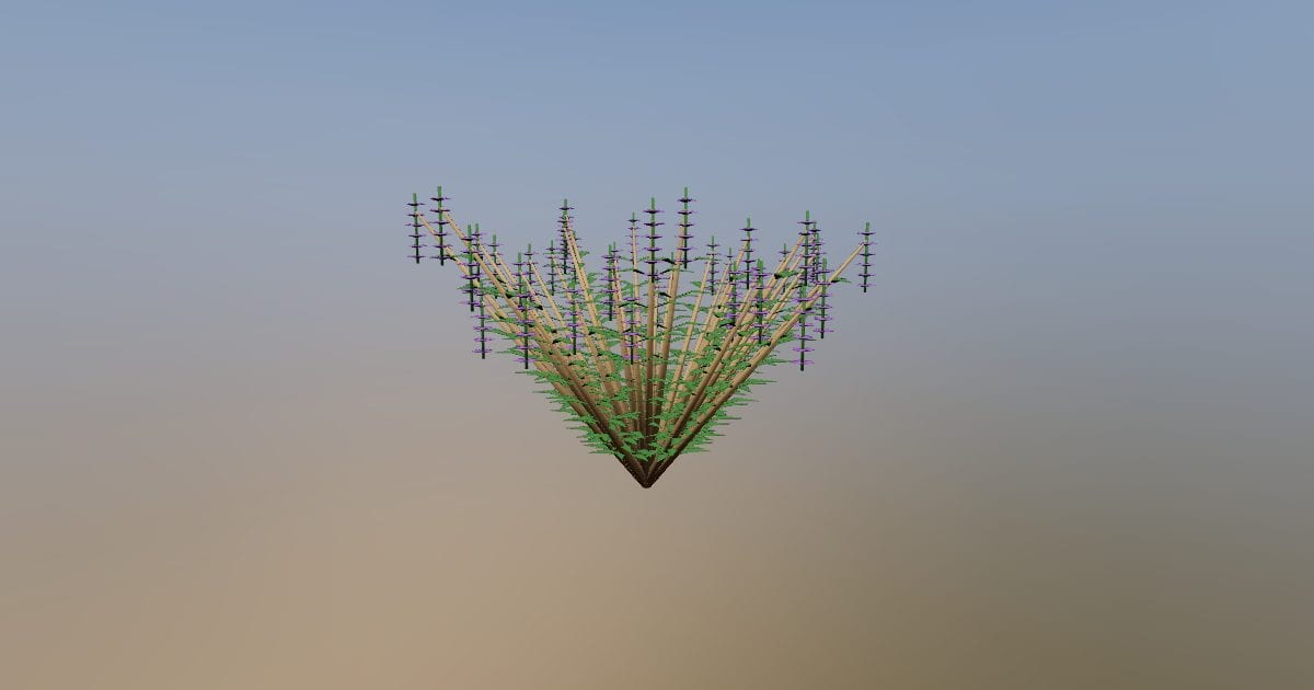 Lavender bush