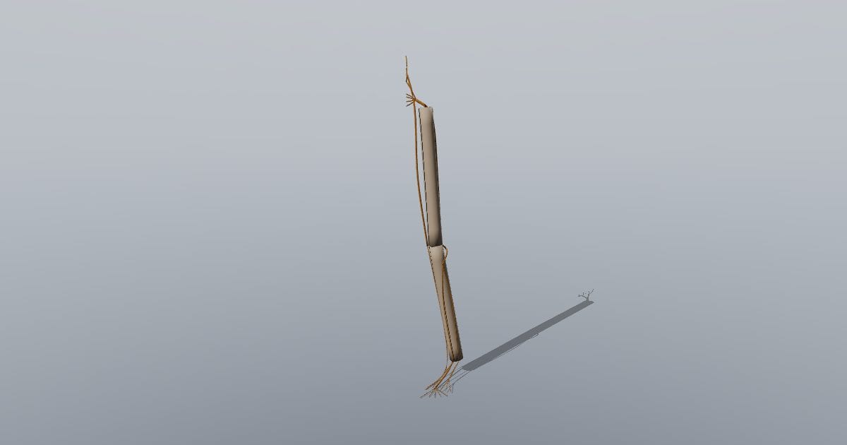 Leg nerves