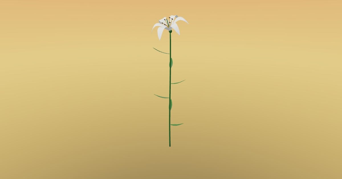 Lily flower with stem