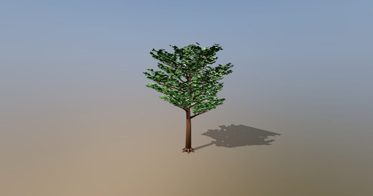 Linden street tree, detailed leaves