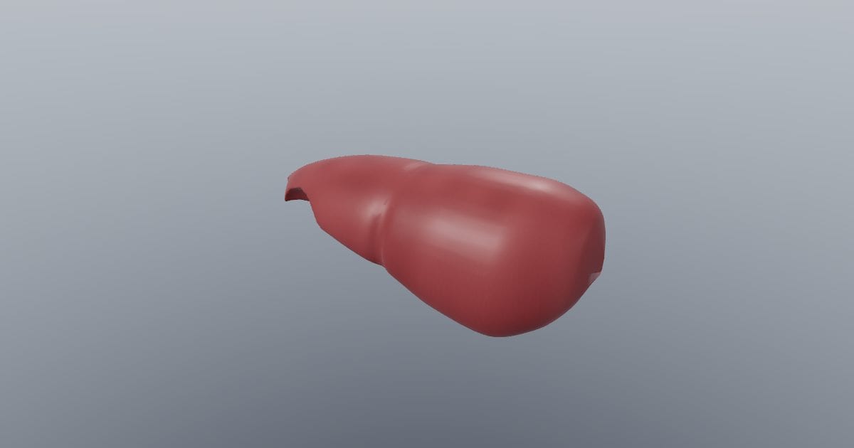 Liver