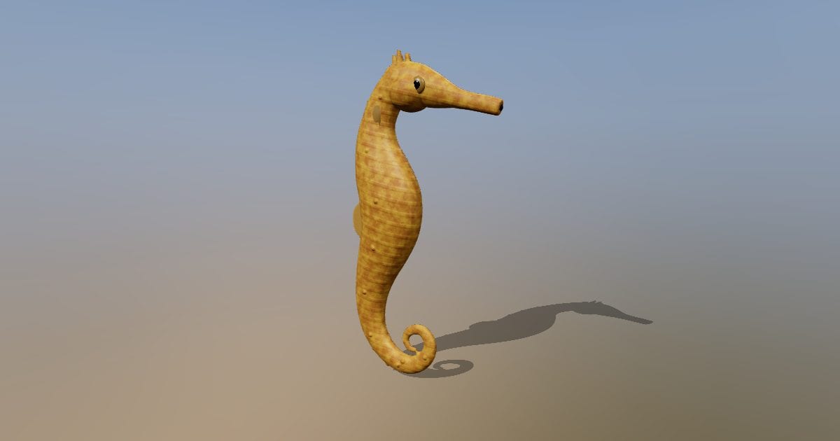 Longsnout seahorse