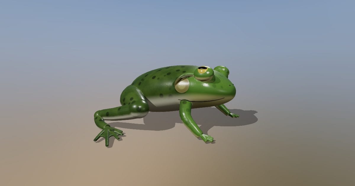 Male American bullfrog