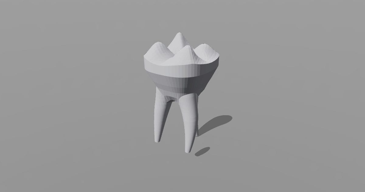 Molar tooth study model