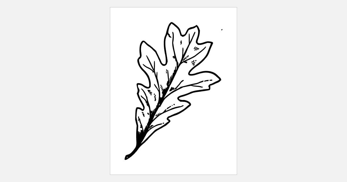 Oak leaf outline