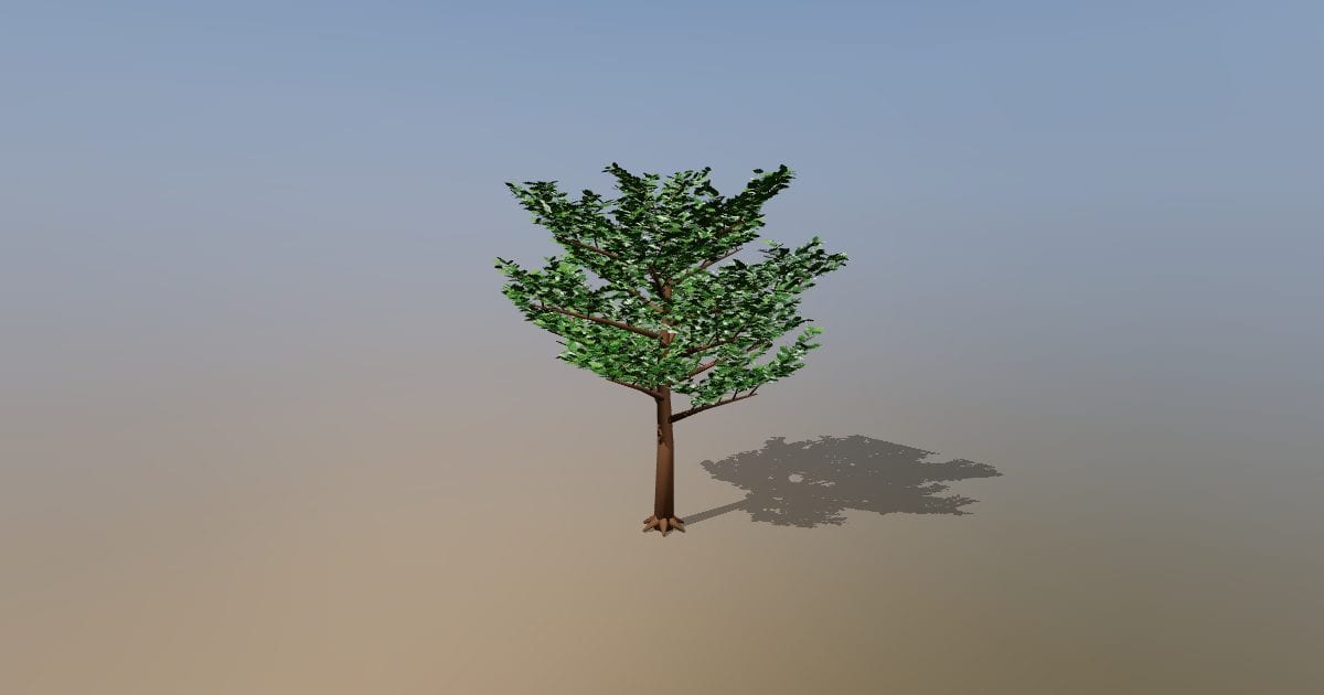 Oak street tree, detailed leaves