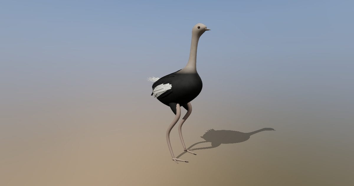 Ostrich