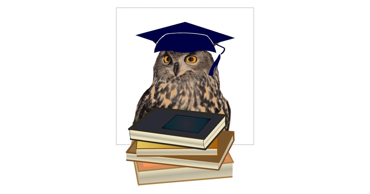Owl on a stack of books