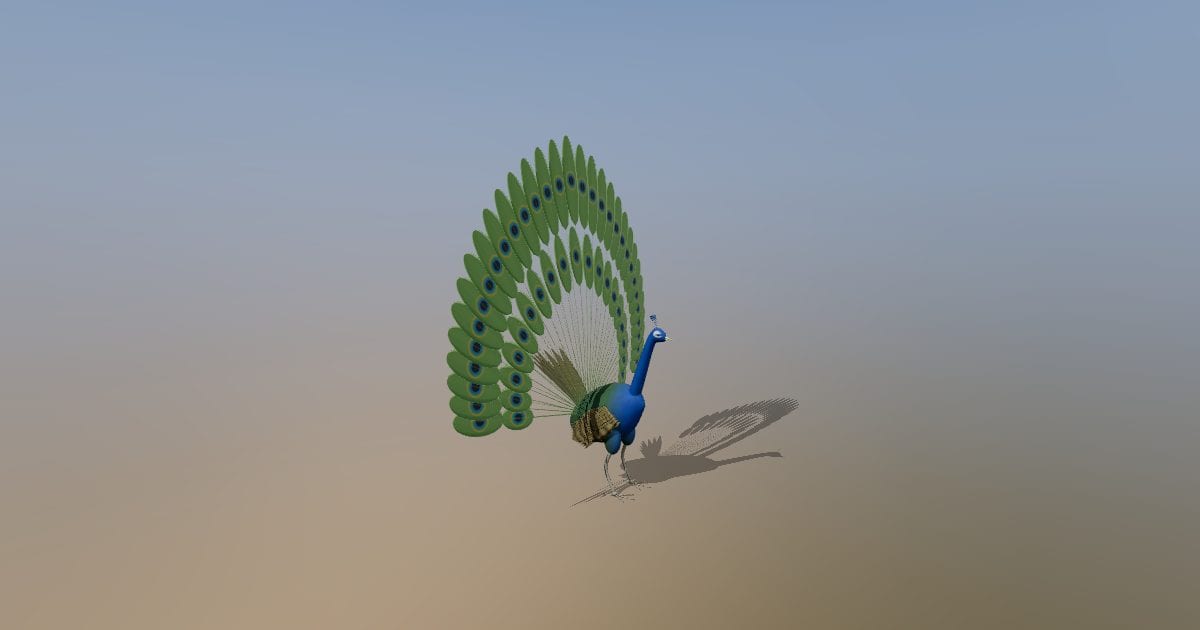 Peacock