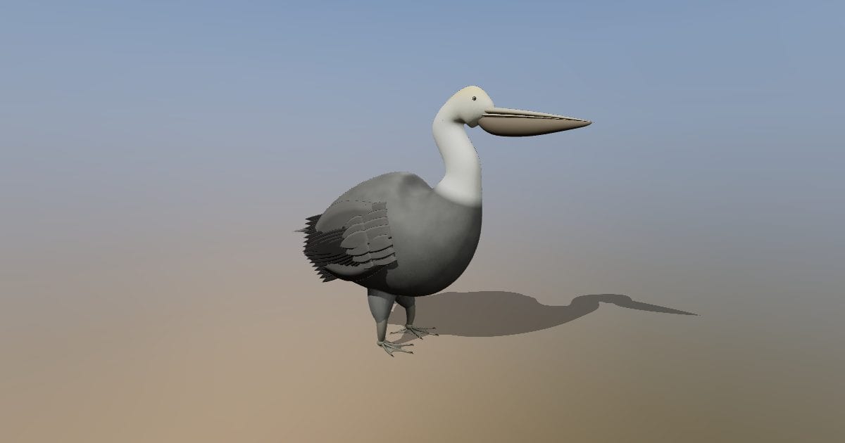 Pelican