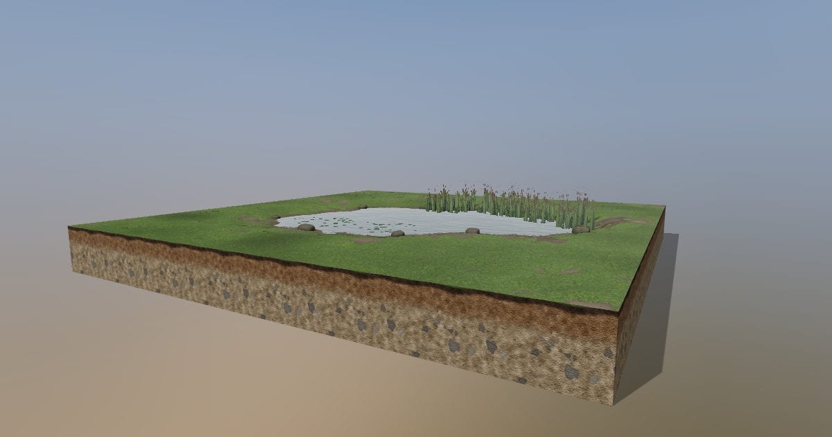 Pond