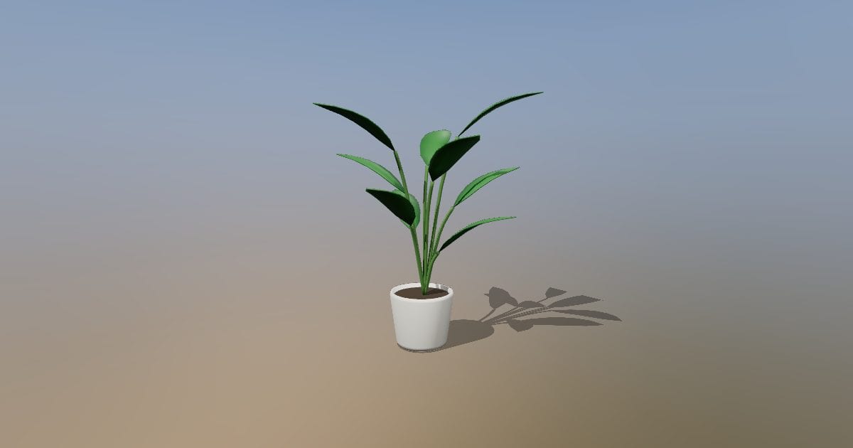 Potted bird of paradise