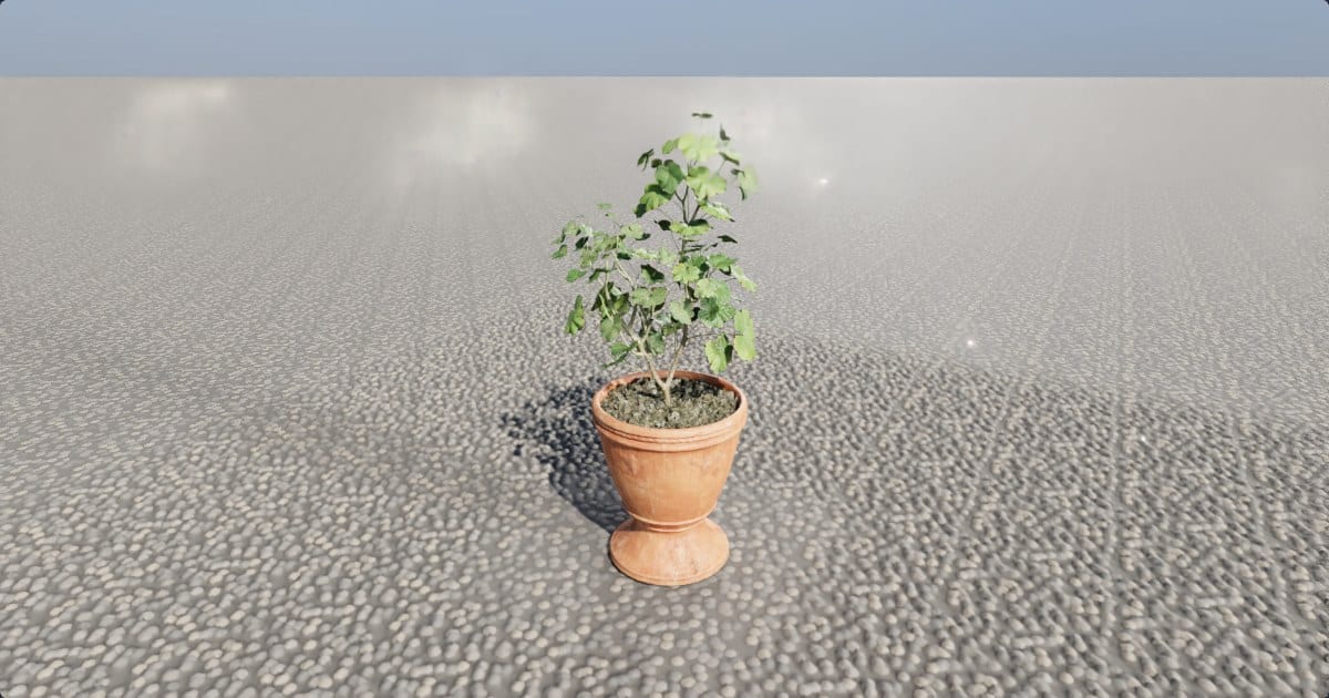 Potted plant on a terracotta pedestal